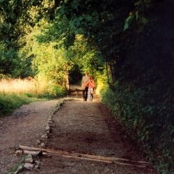 karaoke,Walk Through This World with Me,George Jones,backing track,instrumental,playback,mp3,lyrics,sing along,singing,cover,karafun,karafun karaoke,George Jones karaoke,karafun George Jones,Walk Through This World with Me karaoke,karaoke Walk Through This World with Me,karaoke George Jones Walk Through This World with Me,karaoke Walk Through This World with Me George Jones,George Jones Walk Through This World with Me karaoke,Walk Through This World with Me George Jones karaoke,Walk Through This World with Me lyrics,Walk Through This World with Me cover,