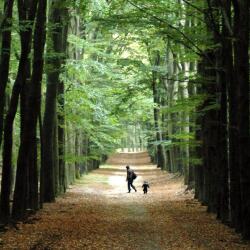 karaoke,You're Still the One (live),Teddy Swims,backing track,instrumental,playback,mp3,lyrics,sing along,singing,cover,karafun,karafun karaoke,Teddy Swims karaoke,karafun Teddy Swims,You're Still the One (live) karaoke,karaoke You're Still the One (live),karaoke Teddy Swims You're Still the One (live),karaoke You're Still the One (live) Teddy Swims,Teddy Swims You're Still the One (live) karaoke,You're Still the One (live) Teddy Swims karaoke,You're Still the One (live) lyrics,You're Still the One (live) cover,