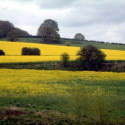 karaoke,Georgia on My Mind,Willie Nelson,backing track,instrumental,playback,mp3,lyrics,sing along,singing,cover,karafun,karafun karaoke,Willie Nelson karaoke,karafun Willie Nelson,Georgia on My Mind karaoke,karaoke Georgia on My Mind,karaoke Willie Nelson Georgia on My Mind,karaoke Georgia on My Mind Willie Nelson,Willie Nelson Georgia on My Mind karaoke,Georgia on My Mind Willie Nelson karaoke,Georgia on My Mind lyrics,Georgia on My Mind cover,