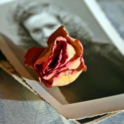 karaoke,He Stopped Loving Her Today,LeAnn Rimes,backing track,instrumental,playback,mp3,lyrics,sing along,singing,cover,karafun,karafun karaoke,LeAnn Rimes karaoke,karafun LeAnn Rimes,He Stopped Loving Her Today karaoke,karaoke He Stopped Loving Her Today,karaoke LeAnn Rimes He Stopped Loving Her Today,karaoke He Stopped Loving Her Today LeAnn Rimes,LeAnn Rimes He Stopped Loving Her Today karaoke,He Stopped Loving Her Today LeAnn Rimes karaoke,He Stopped Loving Her Today lyrics,He Stopped Loving Her Today cover,