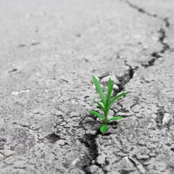 karaoke,Como la flor,Selena,backing track,instrumental,playback,mp3,lyrics,sing along,singing,cover,karafun,karafun karaoke,Selena karaoke,karafun Selena,Como la flor karaoke,karaoke Como la flor,karaoke Selena Como la flor,karaoke Como la flor Selena,Selena Como la flor karaoke,Como la flor Selena karaoke,Como la flor lyrics,Como la flor cover,