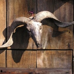 karaoke,The Fightin' Side Of Me,Merle Haggard,backing track,instrumental,playback,mp3,lyrics,sing along,singing,cover,karafun,karafun karaoke,Merle Haggard karaoke,karafun Merle Haggard,The Fightin' Side Of Me karaoke,karaoke The Fightin' Side Of Me,karaoke Merle Haggard The Fightin' Side Of Me,karaoke The Fightin' Side Of Me Merle Haggard,Merle Haggard The Fightin' Side Of Me karaoke,The Fightin' Side Of Me Merle Haggard karaoke,The Fightin' Side Of Me lyrics,The Fightin' Side Of Me cover,