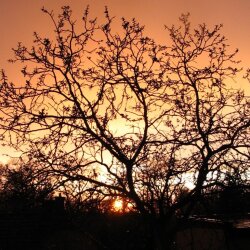 karaoke,For the Good Times,Ray Price,backing track,instrumental,playback,mp3,lyrics,sing along,singing,cover,karafun,karafun karaoke,Ray Price karaoke,karafun Ray Price,For the Good Times karaoke,karaoke For the Good Times,karaoke Ray Price For the Good Times,karaoke For the Good Times Ray Price,Ray Price For the Good Times karaoke,For the Good Times Ray Price karaoke,For the Good Times lyrics,For the Good Times cover,