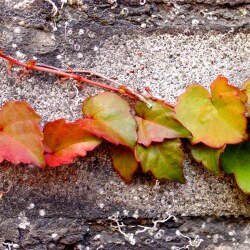 karaoke,Everyday,James Taylor,backing track,instrumental,playback,mp3,lyrics,sing along,singing,cover,karafun,karafun karaoke,James Taylor karaoke,karafun James Taylor,Everyday karaoke,karaoke Everyday,karaoke James Taylor Everyday,karaoke Everyday James Taylor,James Taylor Everyday karaoke,Everyday James Taylor karaoke,Everyday lyrics,Everyday cover,