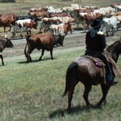 karaoke,It's Getting Better All The Time,Brooks & Dunn,backing track,instrumental,playback,mp3,lyrics,sing along,singing,cover,karafun,karafun karaoke,Brooks & Dunn karaoke,karafun Brooks & Dunn,It's Getting Better All The Time karaoke,karaoke It's Getting Better All The Time,karaoke Brooks & Dunn It's Getting Better All The Time,karaoke It's Getting Better All The Time Brooks & Dunn,Brooks & Dunn It's Getting Better All The Time karaoke,It's Getting Better All The Time Brooks & Dunn karaoke,It's Getting Better All The Time lyrics,It's Getting Better All The Time cover,