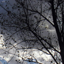 karaoke,Good Is Good,Sheryl Crow,backing track,instrumental,playback,mp3,lyrics,sing along,singing,cover,karafun,karafun karaoke,Sheryl Crow karaoke,karafun Sheryl Crow,Good Is Good karaoke,karaoke Good Is Good,karaoke Sheryl Crow Good Is Good,karaoke Good Is Good Sheryl Crow,Sheryl Crow Good Is Good karaoke,Good Is Good Sheryl Crow karaoke,Good Is Good lyrics,Good Is Good cover,