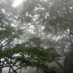 karaoke,Ride,Twenty One Pilots,backing track,instrumental,playback,mp3,lyrics,sing along,singing,cover,karafun,karafun karaoke,Twenty One Pilots karaoke,karafun Twenty One Pilots,Ride karaoke,karaoke Ride,karaoke Twenty One Pilots Ride,karaoke Ride Twenty One Pilots,Twenty One Pilots Ride karaoke,Ride Twenty One Pilots karaoke,Ride lyrics,Ride cover,