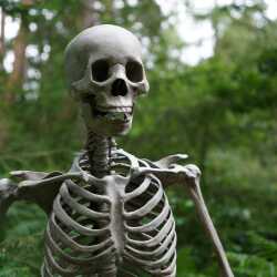 karaoke,Bones,The Killers,backing track,instrumental,playback,mp3,lyrics,sing along,singing,cover,karafun,karafun karaoke,The Killers karaoke,karafun The Killers,Bones karaoke,karaoke Bones,karaoke The Killers Bones,karaoke Bones The Killers,The Killers Bones karaoke,Bones The Killers karaoke,Bones lyrics,Bones cover,