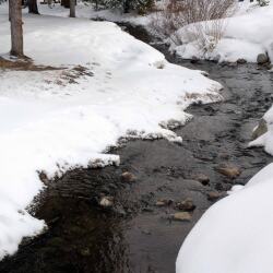 karaoke,If We Make It Through December,Merle Haggard,backing track,instrumental,playback,mp3,lyrics,sing along,singing,cover,karafun,karafun karaoke,Merle Haggard karaoke,karafun Merle Haggard,If We Make It Through December karaoke,karaoke If We Make It Through December,karaoke Merle Haggard If We Make It Through December,karaoke If We Make It Through December Merle Haggard,Merle Haggard If We Make It Through December karaoke,If We Make It Through December Merle Haggard karaoke,If We Make It Through December lyrics,If We Make It Through December cover,