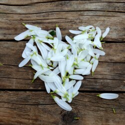 karaoke,You're My Home,Billy Joel,backing track,instrumental,playback,mp3,lyrics,sing along,singing,cover,karafun,karafun karaoke,Billy Joel karaoke,karafun Billy Joel,You're My Home karaoke,karaoke You're My Home,karaoke Billy Joel You're My Home,karaoke You're My Home Billy Joel,Billy Joel You're My Home karaoke,You're My Home Billy Joel karaoke,You're My Home lyrics,You're My Home cover,