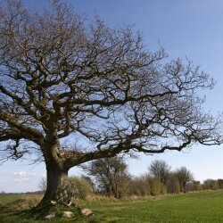 karaoke,Tie a Yellow Ribbon Round the Ole Oak Tree,Tony Orlando & Dawn,backing track,instrumental,playback,mp3,lyrics,sing along,singing,cover,karafun,karafun karaoke,Tony Orlando & Dawn karaoke,karafun Tony Orlando & Dawn,Tie a Yellow Ribbon Round the Ole Oak Tree karaoke,karaoke Tie a Yellow Ribbon Round the Ole Oak Tree,karaoke Tony Orlando & Dawn Tie a Yellow Ribbon Round the Ole Oak Tree,karaoke Tie a Yellow Ribbon Round the Ole Oak Tree Tony Orlando & Dawn,Tony Orlando & Dawn Tie a Yellow Ribbon Round the Ole Oak Tree karaoke,Tie a Yellow Ribbon Round the Ole Oak Tree Tony Orlando & Dawn karaoke,Tie a Yellow Ribbon Round the Ole Oak Tree lyrics,Tie a Yellow Ribbon Round the Ole Oak Tree cover,