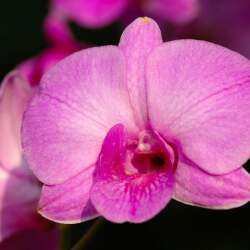 karaoke,A White Sport Coat (And A Pink Carnation),Marty Robbins,backing track,instrumental,playback,mp3,lyrics,sing along,singing,cover,karafun,karafun karaoke,Marty Robbins karaoke,karafun Marty Robbins,A White Sport Coat (And A Pink Carnation) karaoke,karaoke A White Sport Coat (And A Pink Carnation),karaoke Marty Robbins A White Sport Coat (And A Pink Carnation),karaoke A White Sport Coat (And A Pink Carnation) Marty Robbins,Marty Robbins A White Sport Coat (And A Pink Carnation) karaoke,A White Sport Coat (And A Pink Carnation) Marty Robbins karaoke,A White Sport Coat (And A Pink Carnation) lyrics,A White Sport Coat (And A Pink Carnation) cover,