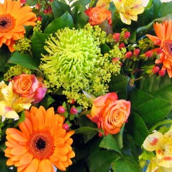 karaoke,Flowers on the Wall,The Three Amigos,backing track,instrumental,playback,mp3,lyrics,sing along,singing,cover,karafun,karafun karaoke,The Three Amigos karaoke,karafun The Three Amigos,Flowers on the Wall karaoke,karaoke Flowers on the Wall,karaoke The Three Amigos Flowers on the Wall,karaoke Flowers on the Wall The Three Amigos,The Three Amigos Flowers on the Wall karaoke,Flowers on the Wall The Three Amigos karaoke,Flowers on the Wall lyrics,Flowers on the Wall cover,