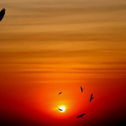 karaoke,Spirit In The Sky,The Kentucky Headhunters,backing track,instrumental,playback,mp3,lyrics,sing along,singing,cover,karafun,karafun karaoke,The Kentucky Headhunters karaoke,karafun The Kentucky Headhunters,Spirit In The Sky karaoke,karaoke Spirit In The Sky,karaoke The Kentucky Headhunters Spirit In The Sky,karaoke Spirit In The Sky The Kentucky Headhunters,The Kentucky Headhunters Spirit In The Sky karaoke,Spirit In The Sky The Kentucky Headhunters karaoke,Spirit In The Sky lyrics,Spirit In The Sky cover,