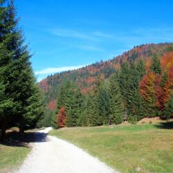 karaoke,Roll On,Kid Rock,backing track,instrumental,playback,mp3,lyrics,sing along,singing,cover,karafun,karafun karaoke,Kid Rock karaoke,karafun Kid Rock,Roll On karaoke,karaoke Roll On,karaoke Kid Rock Roll On,karaoke Roll On Kid Rock,Kid Rock Roll On karaoke,Roll On Kid Rock karaoke,Roll On lyrics,Roll On cover,