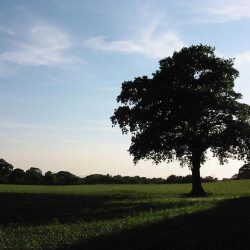 karaoke,Gypsy,Fleetwood Mac,backing track,instrumental,playback,mp3,lyrics,sing along,singing,cover,karafun,karafun karaoke,Fleetwood Mac karaoke,karafun Fleetwood Mac,Gypsy karaoke,karaoke Gypsy,karaoke Fleetwood Mac Gypsy,karaoke Gypsy Fleetwood Mac,Fleetwood Mac Gypsy karaoke,Gypsy Fleetwood Mac karaoke,Gypsy lyrics,Gypsy cover,