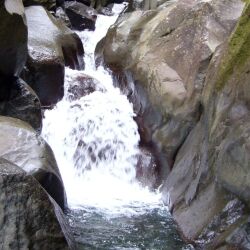 karaoke,Silver Springs,Fleetwood Mac,backing track,instrumental,playback,mp3,lyrics,sing along,singing,cover,karafun,karafun karaoke,Fleetwood Mac karaoke,karafun Fleetwood Mac,Silver Springs karaoke,karaoke Silver Springs,karaoke Fleetwood Mac Silver Springs,karaoke Silver Springs Fleetwood Mac,Fleetwood Mac Silver Springs karaoke,Silver Springs Fleetwood Mac karaoke,Silver Springs lyrics,Silver Springs cover,