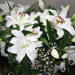 karaoke,Unchained Melody,LeAnn Rimes,backing track,instrumental,playback,mp3,lyrics,sing along,singing,cover,karafun,karafun karaoke,LeAnn Rimes karaoke,karafun LeAnn Rimes,Unchained Melody karaoke,karaoke Unchained Melody,karaoke LeAnn Rimes Unchained Melody,karaoke Unchained Melody LeAnn Rimes,LeAnn Rimes Unchained Melody karaoke,Unchained Melody LeAnn Rimes karaoke,Unchained Melody lyrics,Unchained Melody cover,