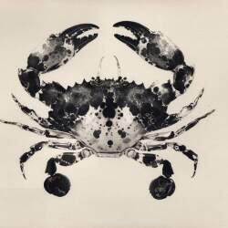 karaoke,Until It Sleeps,Metallica,backing track,instrumental,playback,mp3,lyrics,sing along,singing,cover,karafun,karafun karaoke,Metallica karaoke,karafun Metallica,Until It Sleeps karaoke,karaoke Until It Sleeps,karaoke Metallica Until It Sleeps,karaoke Until It Sleeps Metallica,Metallica Until It Sleeps karaoke,Until It Sleeps Metallica karaoke,Until It Sleeps lyrics,Until It Sleeps cover,