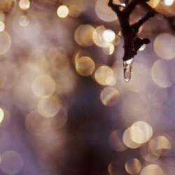 karaoke,Can We Talk?,Tevin Campbell,backing track,instrumental,playback,mp3,lyrics,sing along,singing,cover,karafun,karafun karaoke,Tevin Campbell karaoke,karafun Tevin Campbell,Can We Talk? karaoke,karaoke Can We Talk?,karaoke Tevin Campbell Can We Talk?,karaoke Can We Talk? Tevin Campbell,Tevin Campbell Can We Talk? karaoke,Can We Talk? Tevin Campbell karaoke,Can We Talk? lyrics,Can We Talk? cover,