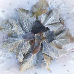 karaoke,Auld Lang Syne,James Taylor,backing track,instrumental,playback,mp3,lyrics,sing along,singing,cover,karafun,karafun karaoke,James Taylor karaoke,karafun James Taylor,Auld Lang Syne karaoke,karaoke Auld Lang Syne,karaoke James Taylor Auld Lang Syne,karaoke Auld Lang Syne James Taylor,James Taylor Auld Lang Syne karaoke,Auld Lang Syne James Taylor karaoke,Auld Lang Syne lyrics,Auld Lang Syne cover,