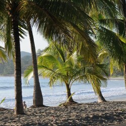 karaoke,Hotel California,The Killers,backing track,instrumental,playback,mp3,lyrics,sing along,singing,cover,karafun,karafun karaoke,The Killers karaoke,karafun The Killers,Hotel California karaoke,karaoke Hotel California,karaoke The Killers Hotel California,karaoke Hotel California The Killers,The Killers Hotel California karaoke,Hotel California The Killers karaoke,Hotel California lyrics,Hotel California cover,