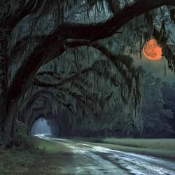 karaoke,Seven Bridges Road (live),Eagles,backing track,instrumental,playback,mp3,lyrics,sing along,singing,cover,karafun,karafun karaoke,Eagles karaoke,karafun Eagles,Seven Bridges Road (live) karaoke,karaoke Seven Bridges Road (live),karaoke Eagles Seven Bridges Road (live),karaoke Seven Bridges Road (live) Eagles,Eagles Seven Bridges Road (live) karaoke,Seven Bridges Road (live) Eagles karaoke,Seven Bridges Road (live) lyrics,Seven Bridges Road (live) cover,