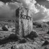 Kody