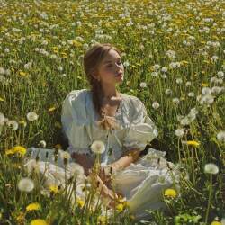 karaoke,Dandelion,Ella Langley,backing track,instrumental,playback,mp3,lyrics,sing along,singing,cover,karafun,karafun karaoke,Ella Langley karaoke,karafun Ella Langley,Dandelion karaoke,karaoke Dandelion,karaoke Ella Langley Dandelion,karaoke Dandelion Ella Langley,Ella Langley Dandelion karaoke,Dandelion Ella Langley karaoke,Dandelion lyrics,Dandelion cover,