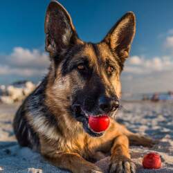 karaoke,Baby Bell,Breitner,backing track,instrumental,playback,mp3,lyrics,sing along,singing,cover,karafun,karafun karaoke,Breitner karaoke,karafun Breitner,Baby Bell karaoke,karaoke Baby Bell,karaoke Breitner Baby Bell,karaoke Baby Bell Breitner,Breitner Baby Bell karaoke,Baby Bell Breitner karaoke,Baby Bell lyrics,Baby Bell cover,